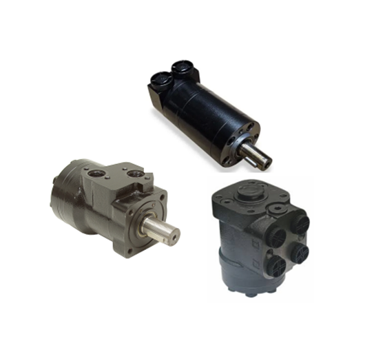 	 Hydraulic motor